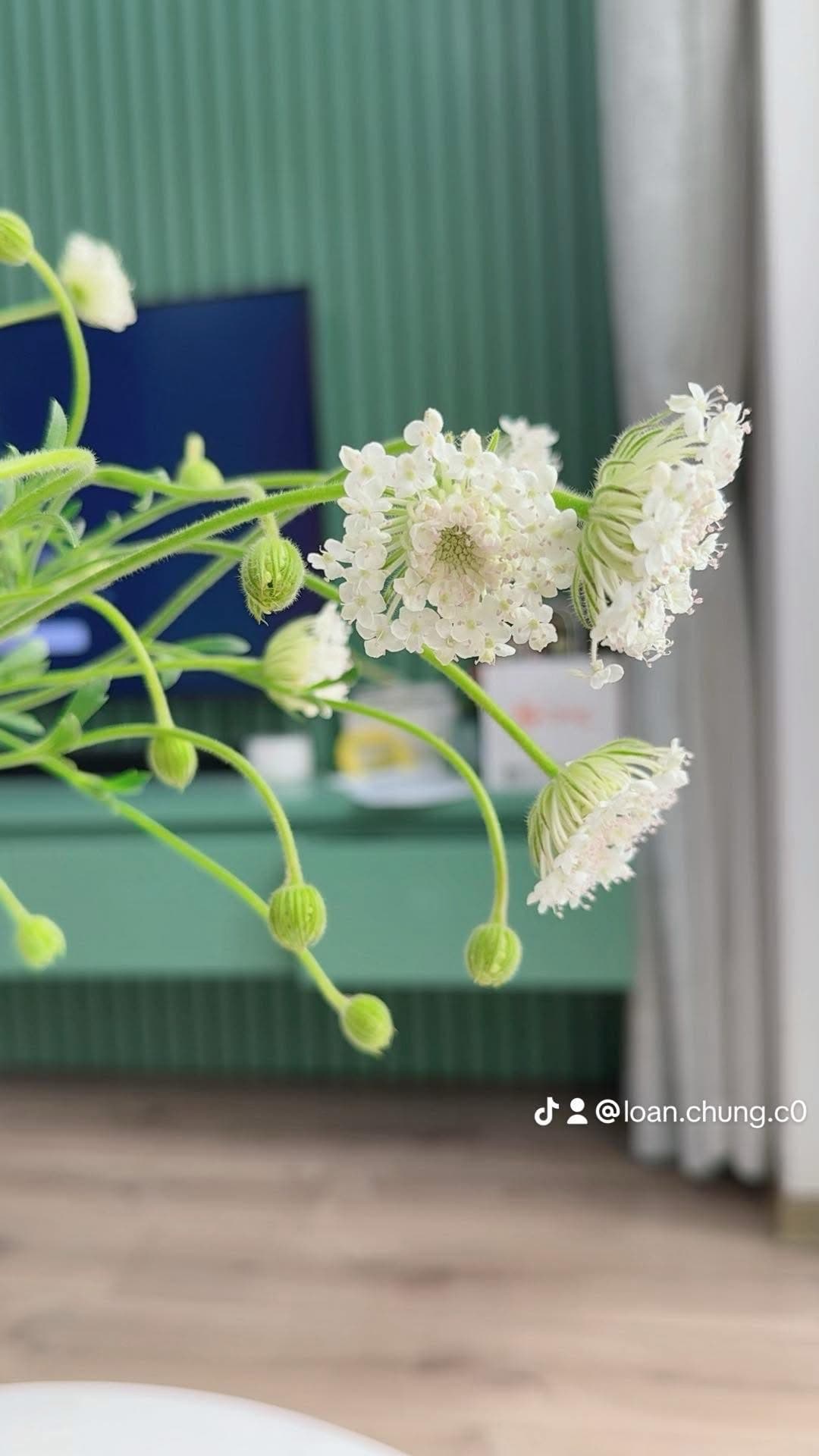 Căn hộ 2PN Anland — Cho thuê